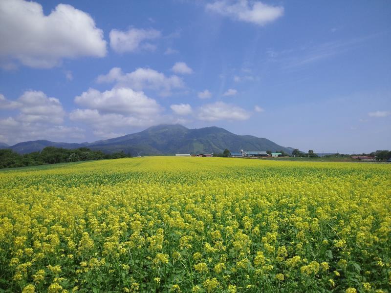A Pousada Karimpani Niseko Fujiyama Exterior foto